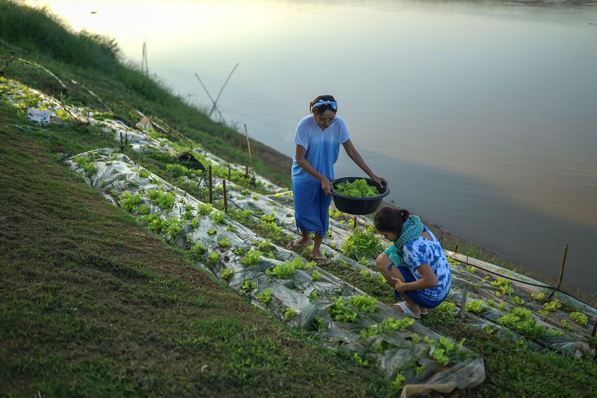 Chiangkhan River Mountain Resort Chiang Khan Εξωτερικό φωτογραφία